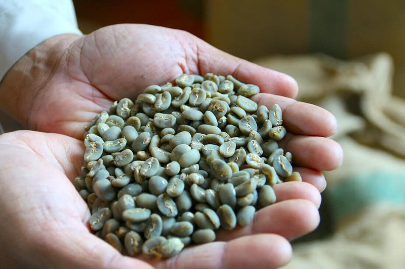Sumatran